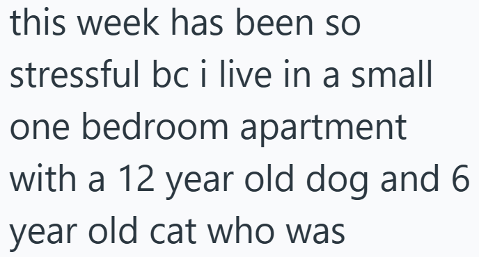 this week has been so stressful bc i live in a small one bedroom apartment with a 12 year old dog and 6 year old cat who was