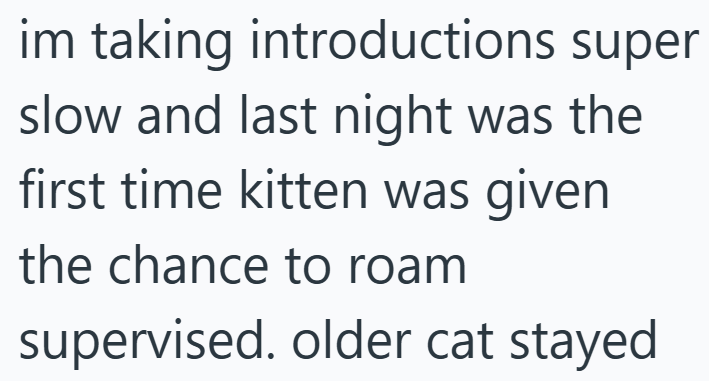 im taking introductions super slow and last night was the first time kitten was given the chance to roam supervised. older cat stayed