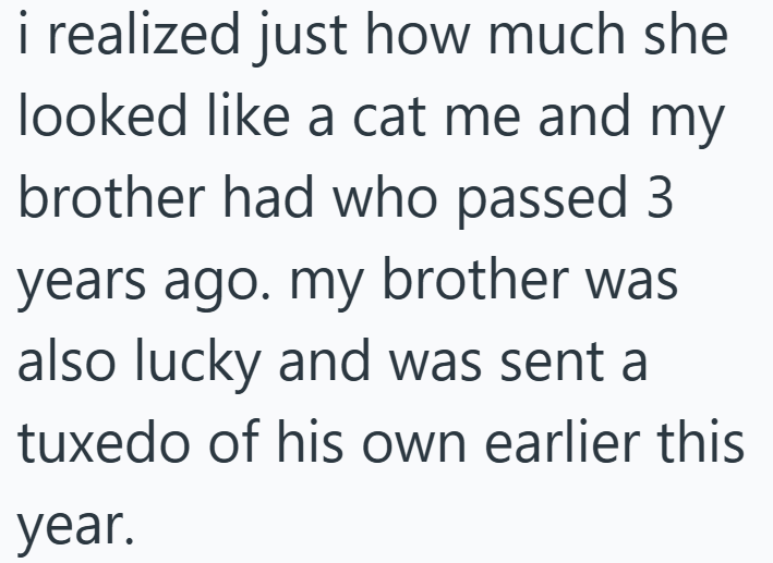 i realized just how much she looked like a cat me and my brother had who passed 3 years ago. my brother was also lucky and was sent a tuxedo of his own earlier this year.