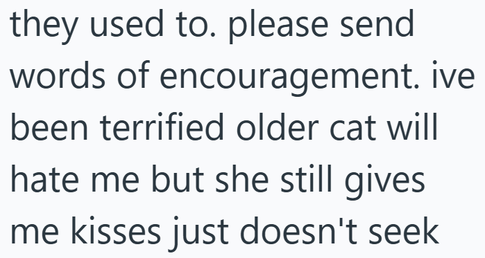 they used to. please send words of encouragement. ive been terrified older cat will hate me but she still gives me kisses just doesn't seek
