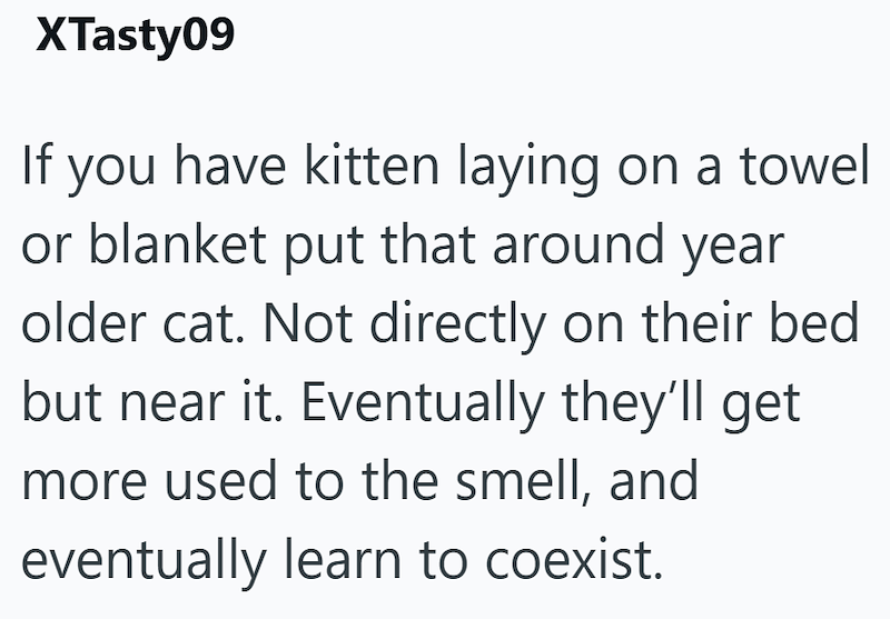XTasty09 If you have kitten laying on a towel or blanket put that around year older cat. Not directly on their bed but near it. Eventually they'll get more used to the smell, and eventually learn to coexist.