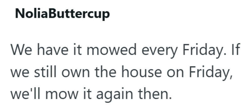 NoliaButtercup We have it mowed every Friday. If we still own the house on Friday, we'll mow it again then.