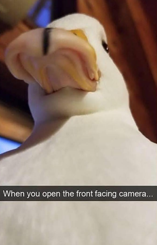 When you open the front facing camera...