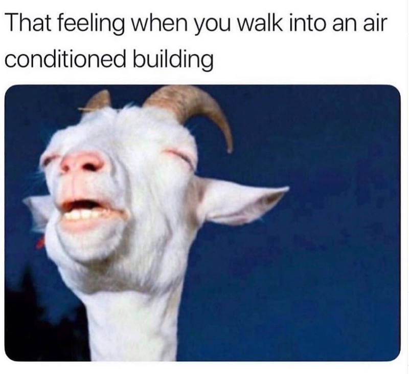 That feeling when you walk into an air conditioned building