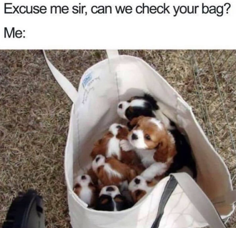Excuse me sir, can we check your bag? Me: