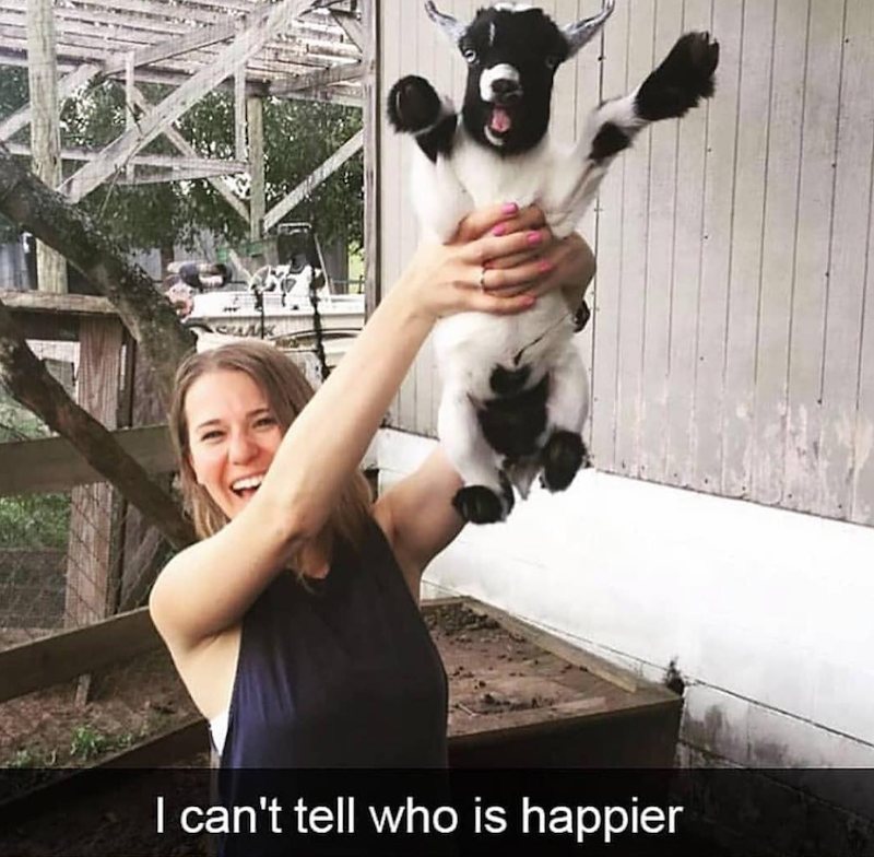 I can't tell who is happier