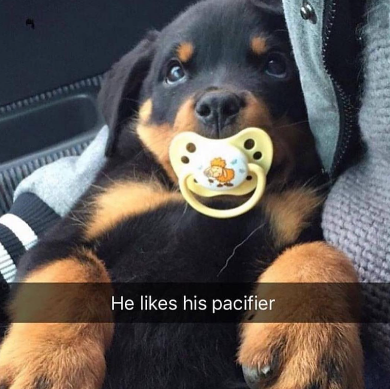 He likes his pacifier