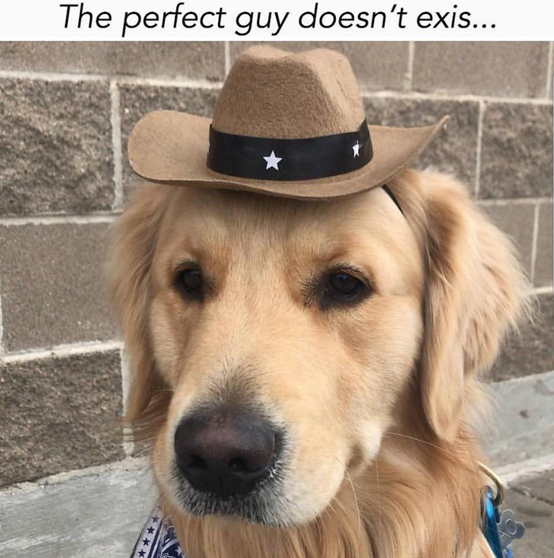 The perfect guy doesn't exis... ***