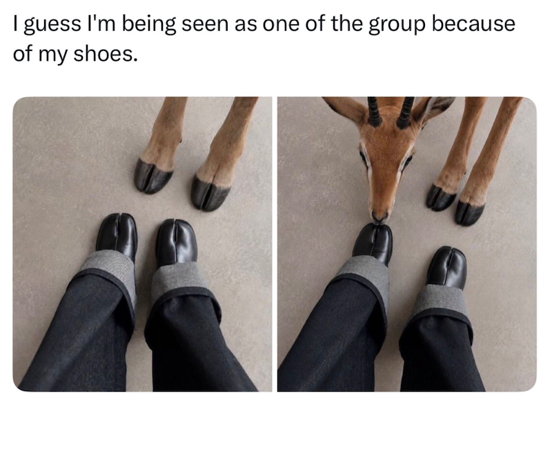 I guess I'm being seen as one of the group because of my shoes.