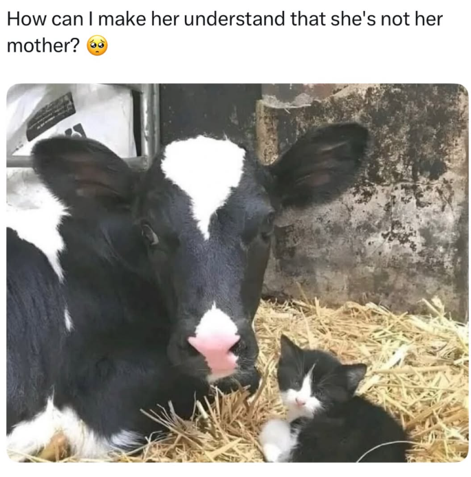 How can I make her understand that she's not her mother?