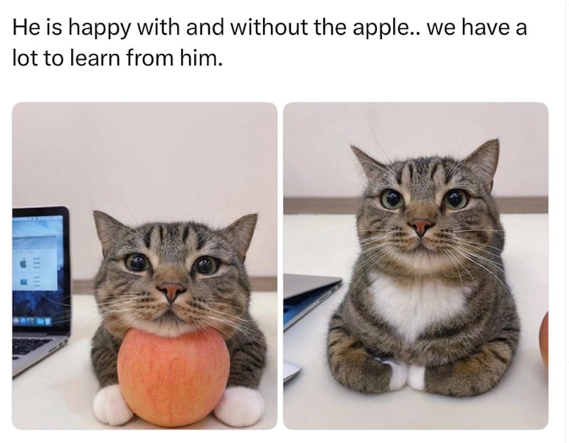 He is happy with and without the apple.. we have a lot to learn from him.