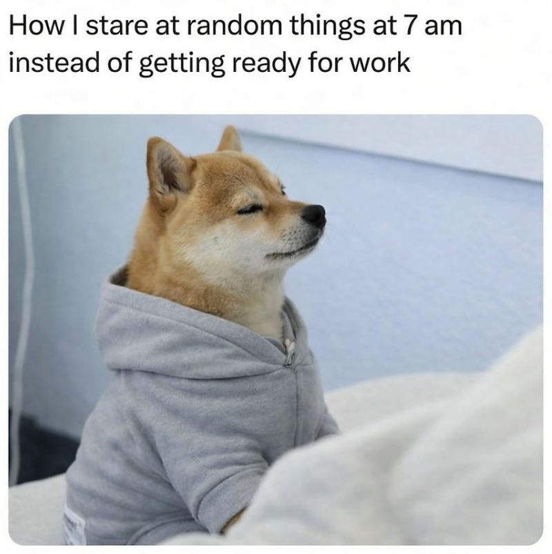 How I stare at random things at 7 am instead of getting ready for work
