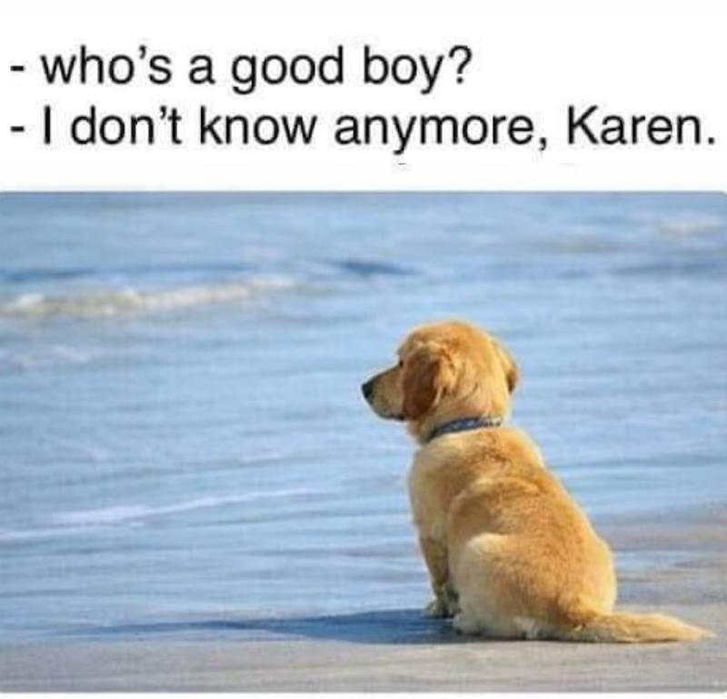 - who's a good boy? - I don't know anymore, Karen.