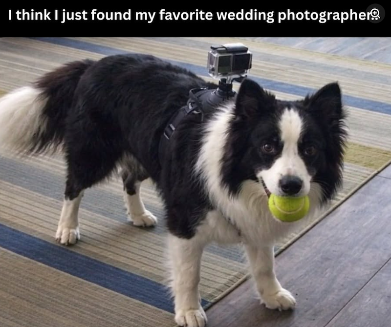 I think I just found my favorite wedding photographer