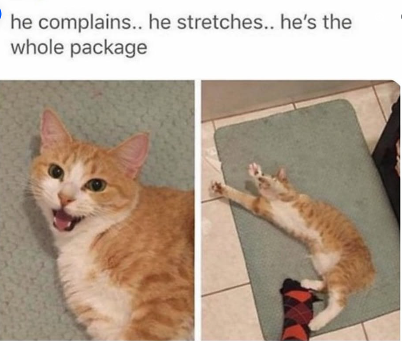 he complains.. he stretches.. he's the whole package