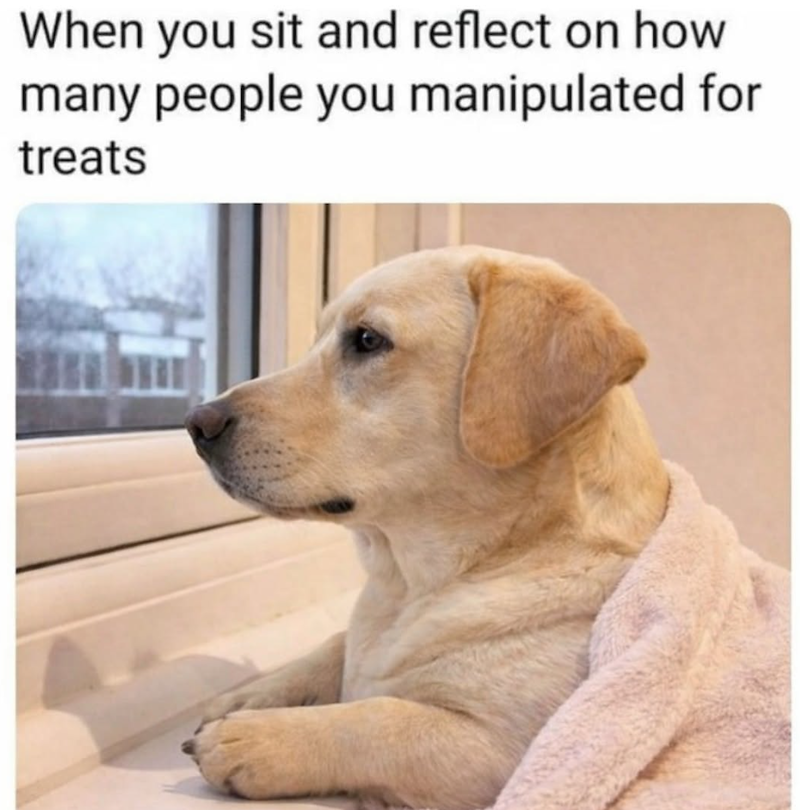 When you sit and reflect on how many people you manipulated for treats