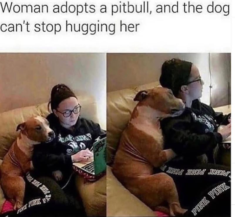 Woman adopts a pitbull, and the dog can't stop hugging her FOCK FINK NIG ANIA NI PINK PINK
