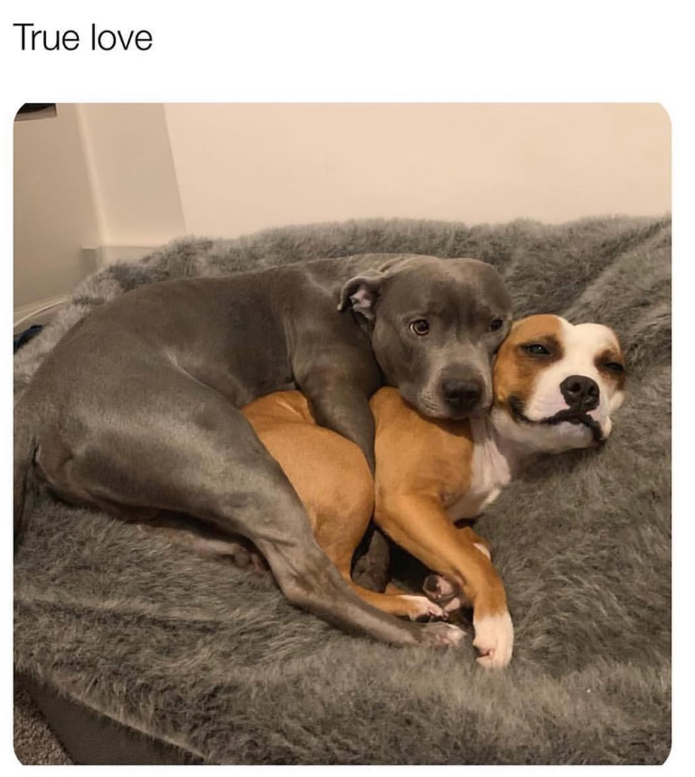 True love