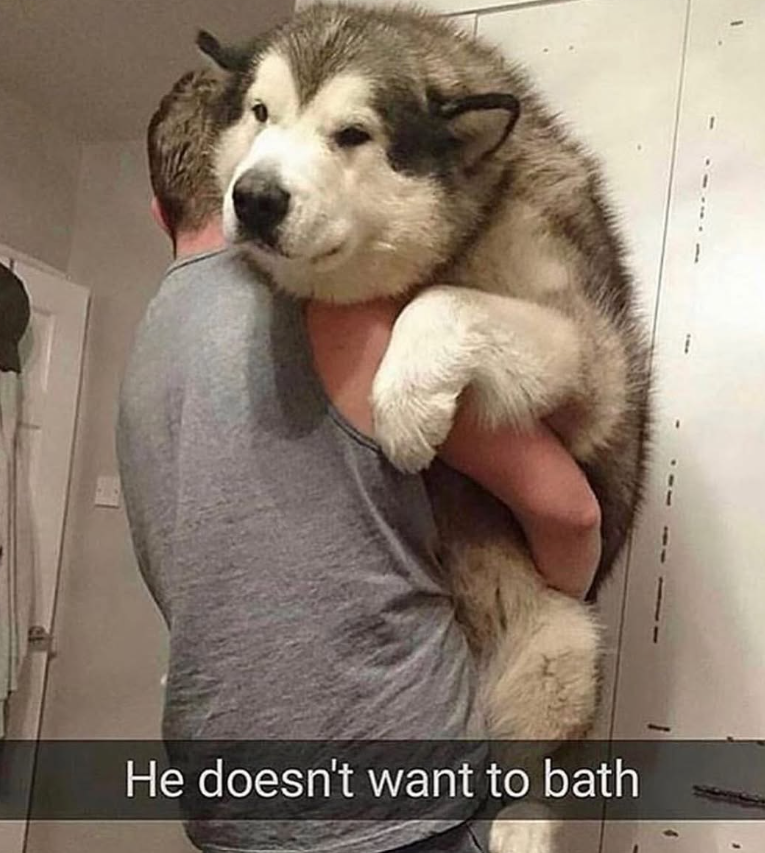 He doesn't want to bath