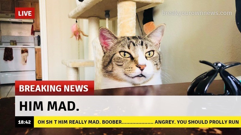 LIVE breakyourownnews.com BREAKING NEWS HIM MAD. 18:42 OH SH T HIM REALLY MAD. BOOBER...................... ANGREY. YOU SHOULD PROLLY RUN