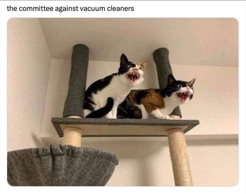the committee against vacuum cleaners
