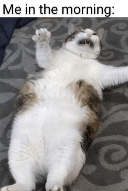 Me in the morning: