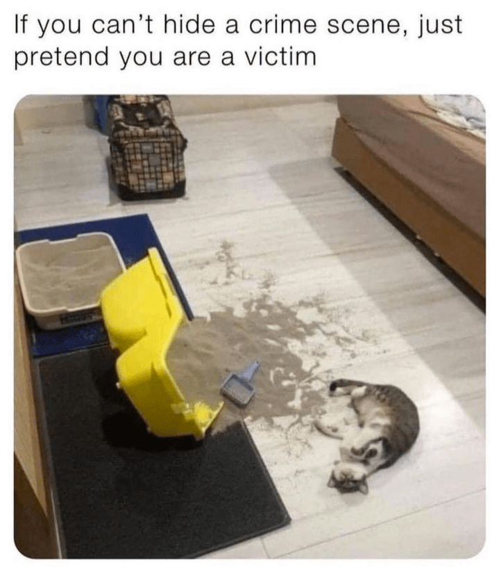 If you can't hide a crime scene, just pretend you are a victim