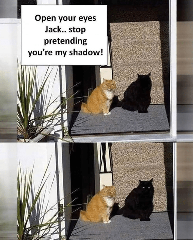 Open your eyes Jack.. stop pretending you're my shadow!