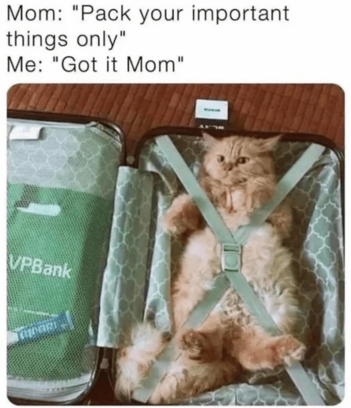 Mom: "Pack your important things only" Me: "Got it Mom" VPBank