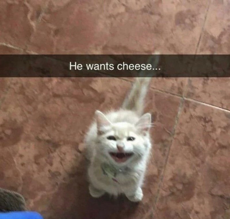He wants cheese...