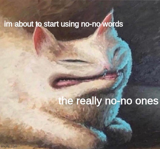 im about to start using no-no words imgflip.com the really no-no ones