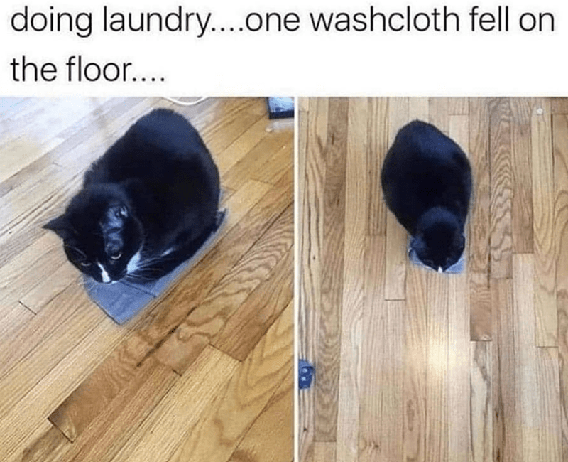 doing laundry....one washcloth fell on the floor....