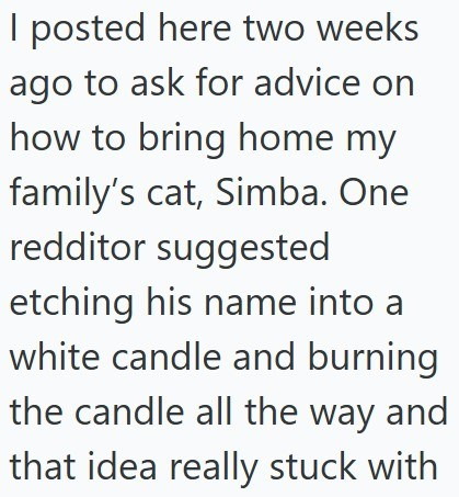 I posted here two weeks ago to ask for advice on how to bring home my family's cat, Simba. One redditor suggested etching his name into a white candle and burning the candle all the way and that idea really stuck with