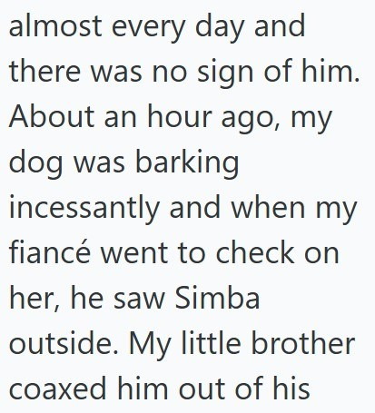 almost every day and there was no sign of him. About an hour ago, my dog was barking incessantly and when my fiancé went to check on her, he saw Simba outside. My little brother coaxed him out of his
