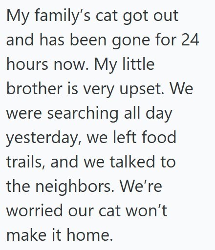 My family's cat got out and has been gone for 24 hours now. My little brother is very upset. We were searching all day yesterday, we left food trails, and we talked to the neighbors. We're worried our cat won't make it home.