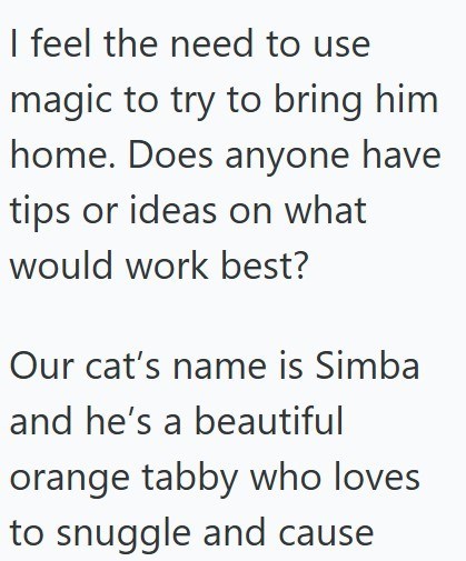 I feel the need to use magic to try to bring him home. Does anyone have tips or ideas on what would work best? Our cat's name is Simba and he's a beautiful orange tabby who loves to snuggle and cause