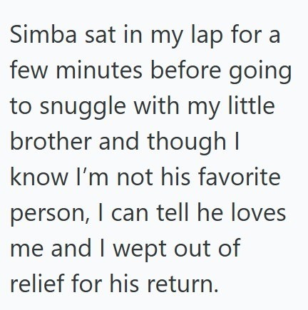 Simba sat in my lap for a few minutes before going to snuggle with my little brother and though I know I'm not his favorite person, I can tell he loves me and I wept out of relief for his return.