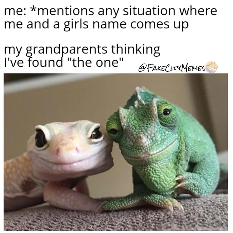 me: *mentions any situation where me and a girls name comes up my grandparents thinking I've found "the one" @FAKECITYMEMES