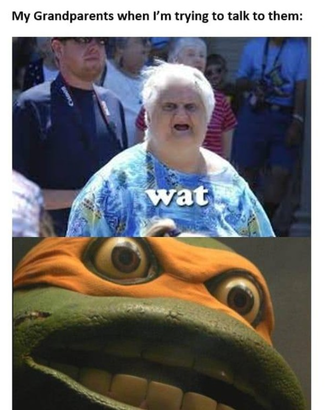 My Grandparents when I'm trying to talk to them: GOOSE wat