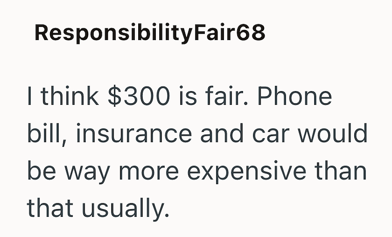 Responsibility Fair68 I think $300 is fair. Phone bill, insurance and car would be way more expensive than that usually.