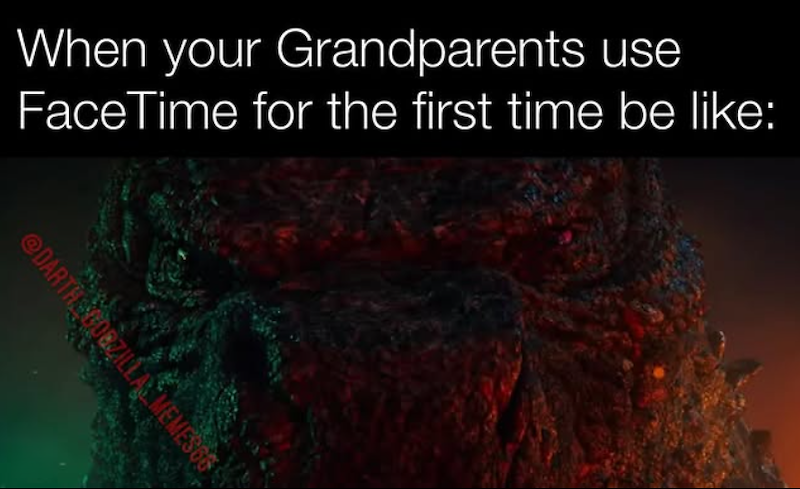 When your Grandparents use FaceTime for the first time be like: @DARTH OBZILLA MEMESCO
