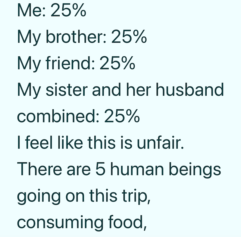Me: 25% My brother: 25% My friend: 25% My sister and her husband combined: 25% I feel like this is unfair. There are 5 human beings going on this trip, consuming food,