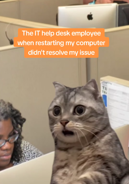 The IT help desk employee when restarting my computer didn't resolve my issue