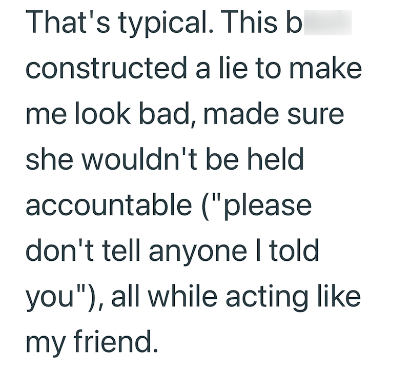 That's typical. This bitch constructed a lie to make me look bad, made sure she wouldn't be held accountable ("please don't tell anyone I told you"), all while acting like my friend.