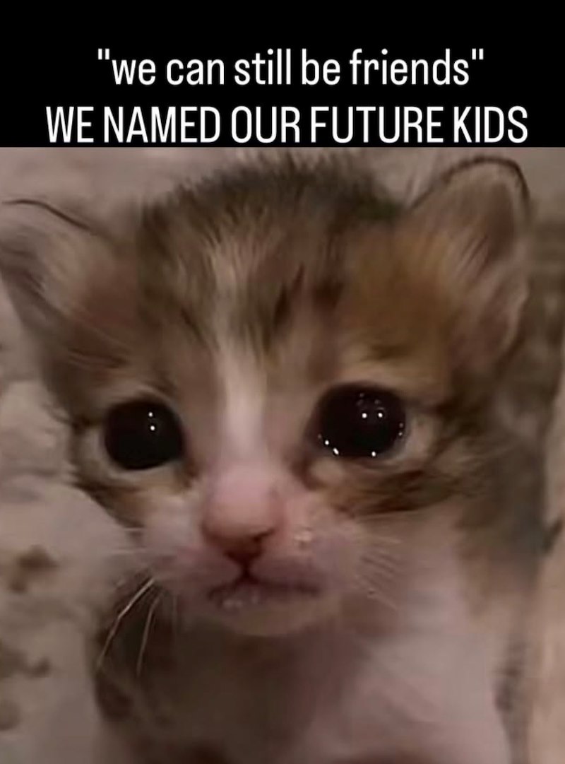 "we can still be friends" WE NAMED OUR FUTURE KIDS