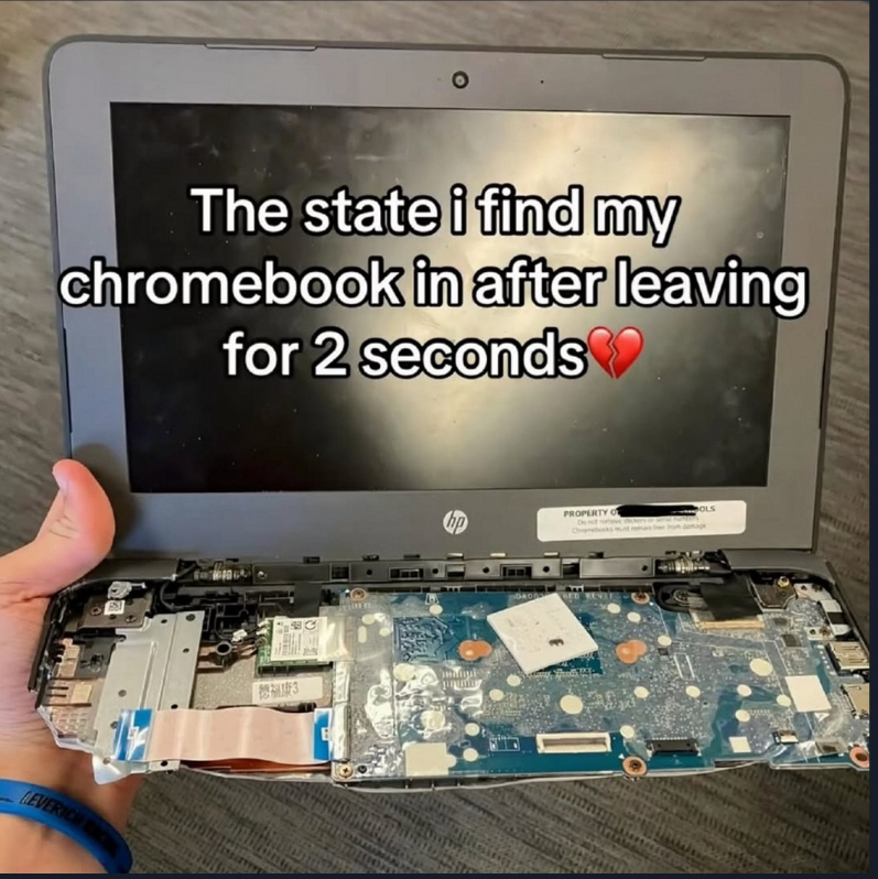 The state i find my chromebook in after leaving for 2 seconds LEVERICH 3 hp PROPERTY O