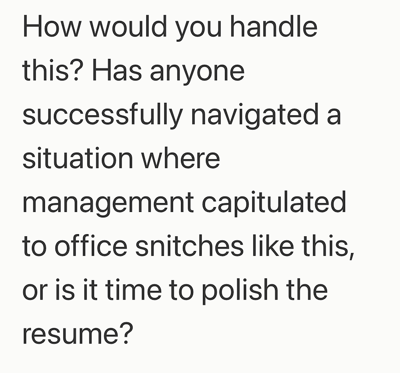 How would you handle this? Has anyone successfully navigated a situation where management capitulated to office snitches like this, or is it time to polish the resume?