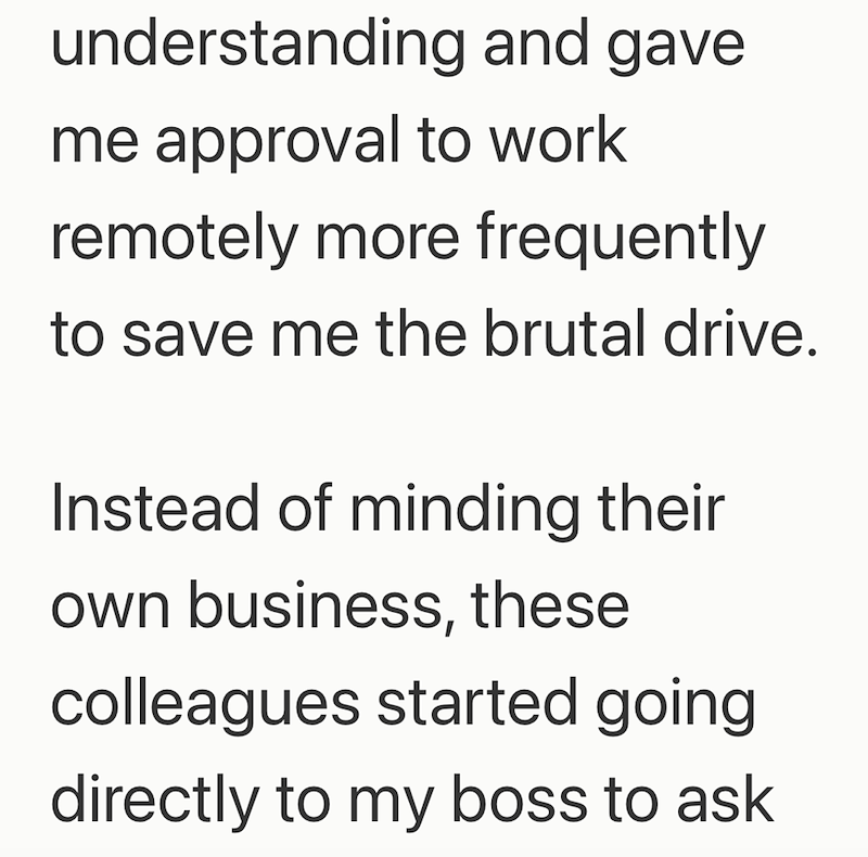 understanding and gave me approval to work remotely more frequently to save me the brutal drive. Instead of minding their own business, these colleagues started going directly to my boss to ask