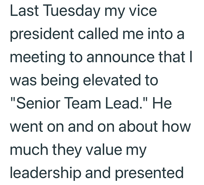 Last Tuesday my vice president called me into a meeting to announce that I was being elevated to "Senior Team Lead." He went on and on about how much they value my leadership and presented