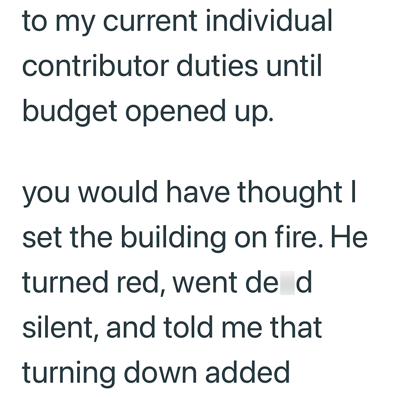 to my current individual contributor duties until budget opened up. you would have thought I set the building on fire. He turned red, went de d silent, and told me that turning down added